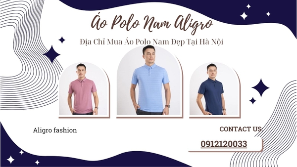 Áo Polo Nam Aligro: Địa Chỉ Mua Áo Polo Nam Đẹp Tại Hà Nội