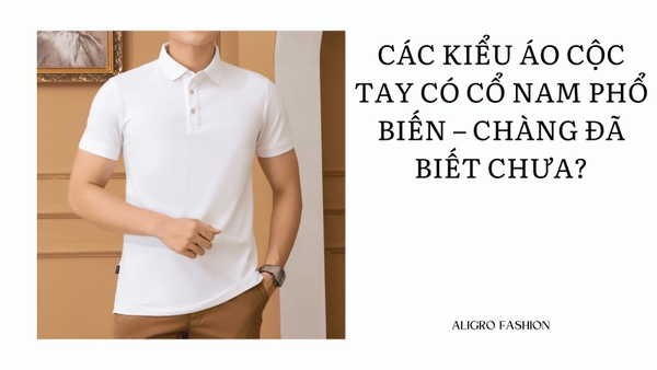 Các kiểu áo cộc tay có cổ nam phổ biến – Chàng đã biết chưa?